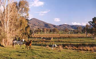 Baranduda Homestead - Hervey Bay Accommodation 5