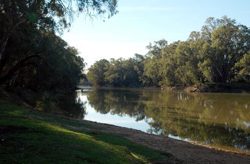 Swan Hill Holiday Park - Hervey Bay Accommodation 3