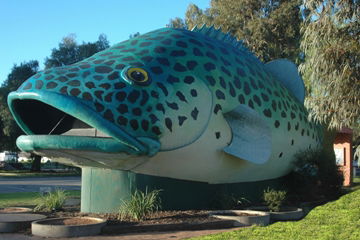 Swan Hill Holiday Park - Hervey Bay Accommodation 4