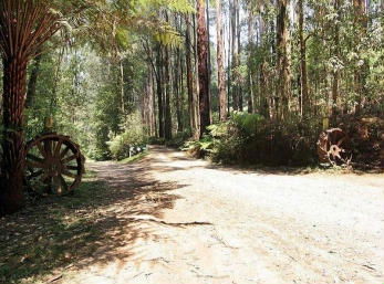 Hill N Dale Farm Cottages - Hervey Bay Accommodation 0