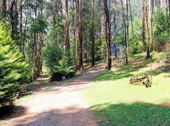 Hill N Dale Farm Cottages - Hervey Bay Accommodation 1