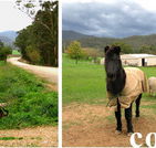 Emerald Park Holiday Farm - Hervey Bay Accommodation