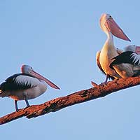 Matahari Houseboats - Hervey Bay Accommodation 1