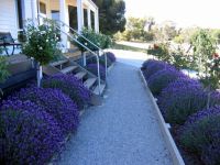 Canadian Lodge - Hervey Bay Accommodation 3