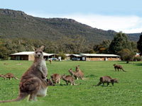 Halls Gap Log Cabins - Hervey Bay Accommodation 2