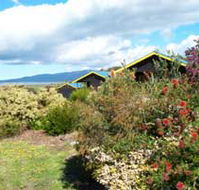 Black Cockatoo Cottages - Hervey Bay Accommodation