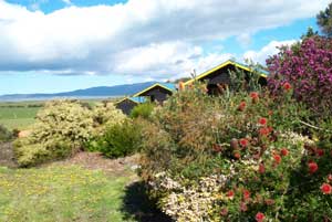 Black Cockatoo Cottages - Hervey Bay Accommodation 0