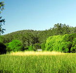 Waterholes Guest House - Hervey Bay Accommodation