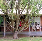 BIG4 Ballarat Windmill Holiday Park - Hervey Bay Accommodation