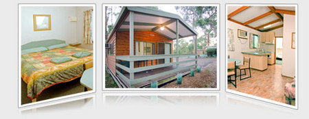 A Maze N Things Holiday Park - Hervey Bay Accommodation 5