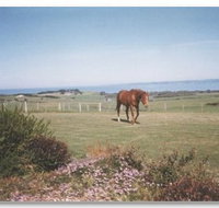 First Class Bed and Breakfast - Hervey Bay Accommodation