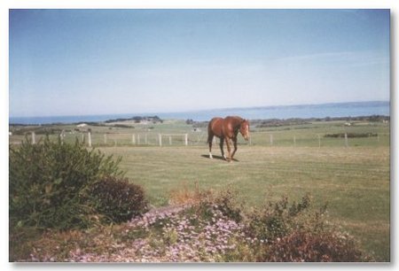 First Class Bed And Breakfast - Hervey Bay Accommodation 0