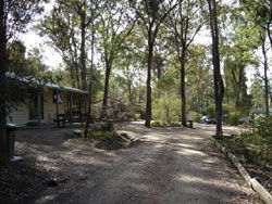 Lakes Bushland Caravan Park - Hervey Bay Accommodation 0