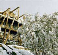 Silverski - Tourism Hervey Bay