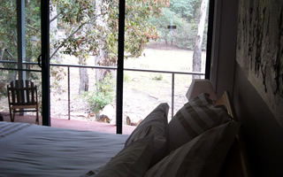 Glengarriff Town Houses - Hervey Bay Accommodation 0