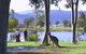 Wombat Hills Cottages - thumb 4
