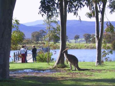 Wombat Hills Cottages - Hervey Bay Accommodation 4