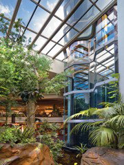 Travelodge Bankstown - Hervey Bay Accommodation 3