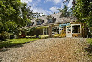 Curtis Falls Mountain Retreat - Hervey Bay Accommodation 0