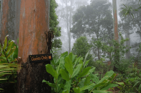 Witches Falls Cottages - Tourism Hervey Bay 2