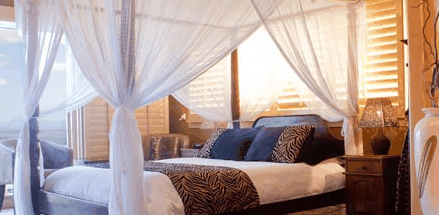 Avocado Sunset - Tourism Hervey Bay 2