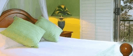 Avocado Sunset - Tourism Hervey Bay 3