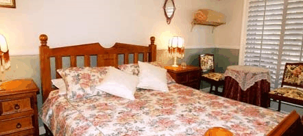 Avocado Sunset - thumb 5