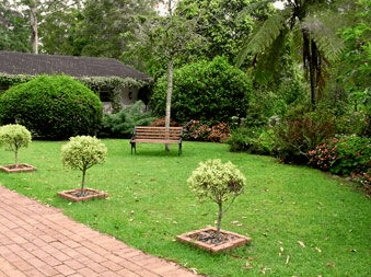 Tall Trees Motel - Hervey Bay Accommodation 2