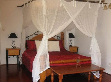 Attunga Park Country Retreat - Hervey Bay Accommodation 4