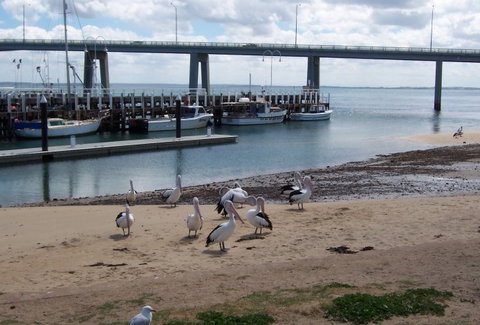BIG4 Phillip Island Caravan Park - Hervey Bay Accommodation 5
