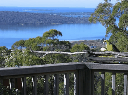 Bed in the Treetops - Hervey Bay Accommodation