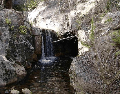 Weldborough Hotel - Hervey Bay Accommodation 1