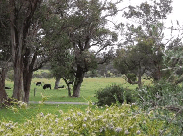 Woody Grange Chalets - Hervey Bay Accommodation 3