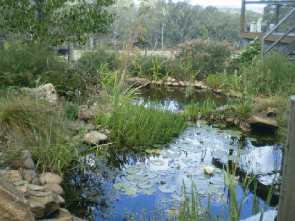 Crabapple Lane Bed & Breakfast - Hervey Bay Accommodation 2