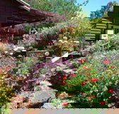 Chestnut Brook Cottage - Hervey Bay Accommodation