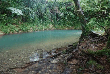 Heritage Lodge And Spa - Hervey Bay Accommodation