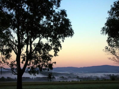 Bluebush Estate - Hervey Bay Accommodation 0