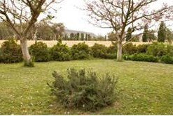 Claremont Cottage - Hervey Bay Accommodation 2