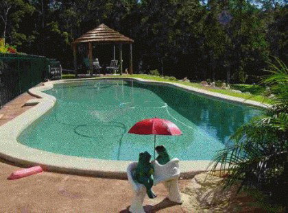 Greenacres Bed And Breakfast - Hervey Bay Accommodation 4