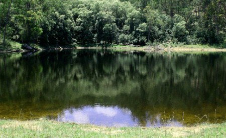 Mystwood Retreats - Hervey Bay Accommodation 5