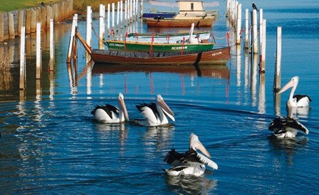 Windang Beach Tourist Park - Hervey Bay Accommodation 4