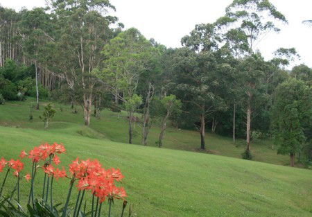 Woodridge Park Country Retreat - Hervey Bay Accommodation 3