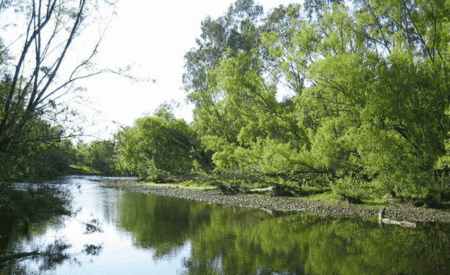 Ribbonwood Cottages - Hervey Bay Accommodation