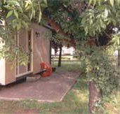 Carinya Cabins  Caravan Park - Hervey Bay Accommodation