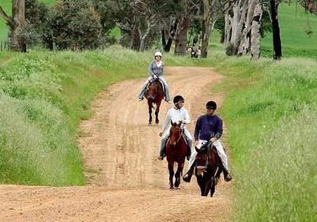 Hanericka Farm Stay - Hervey Bay Accommodation 1