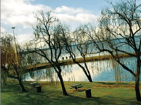 Lake Mulwala Holiday Park - Hervey Bay Accommodation 2