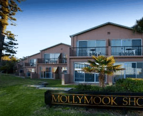 Mollymook Shores Motel - Hervey Bay Accommodation