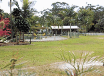 Minnie Water Holiday Park - Hervey Bay Accommodation 5
