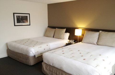 Hotel Urban Brisbane - Hervey Bay Accommodation 0