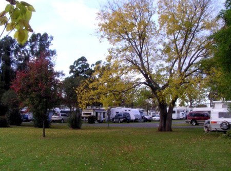 Poplar Tourist Park - Hervey Bay Accommodation 2